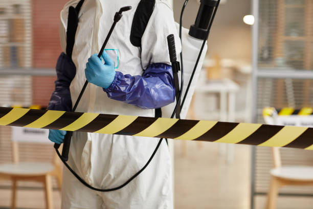 Professional Sewage Cleanup technician working in Unionville Center, OH